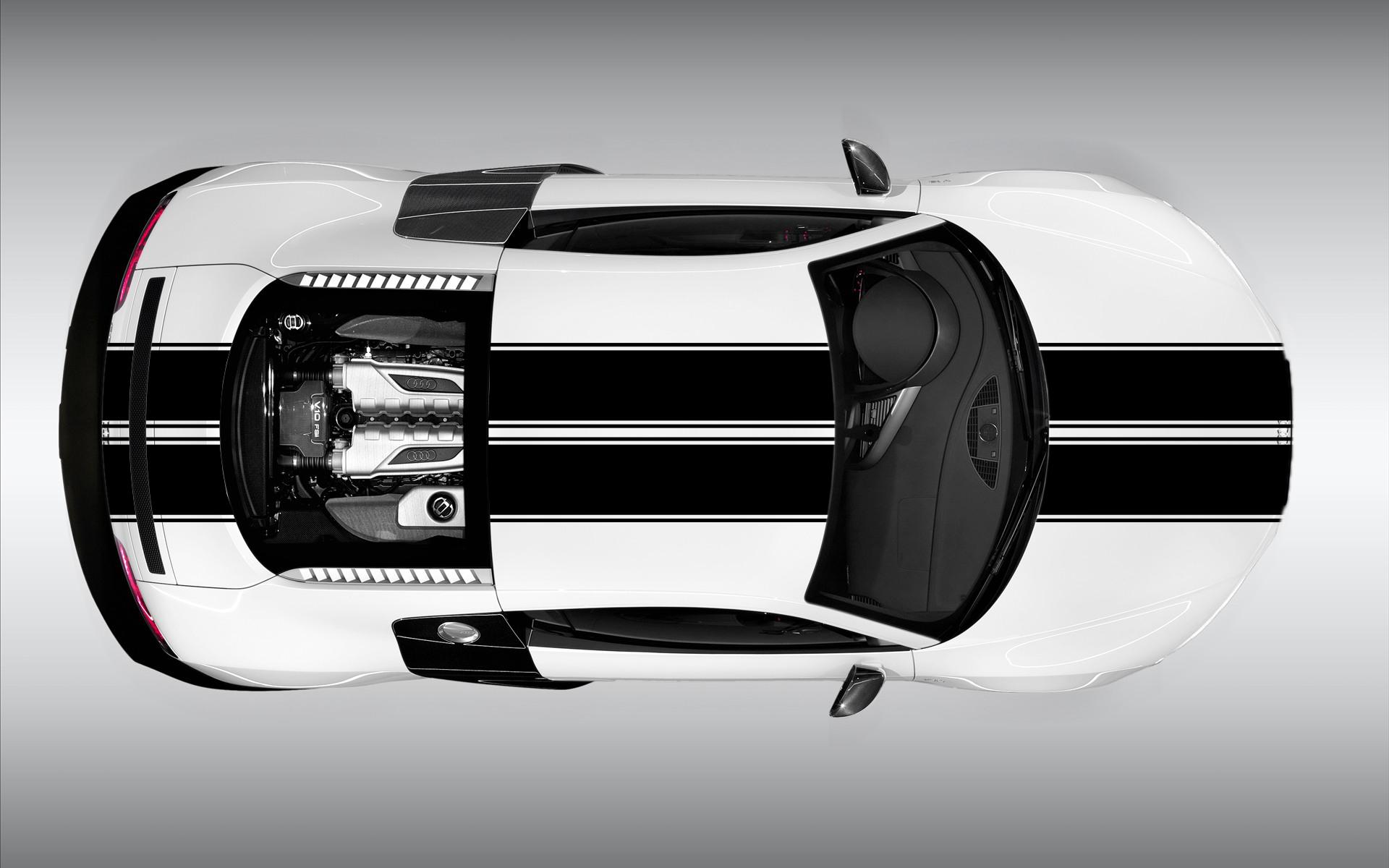 Dual Racing Strip (48,5 cm) - custom decal