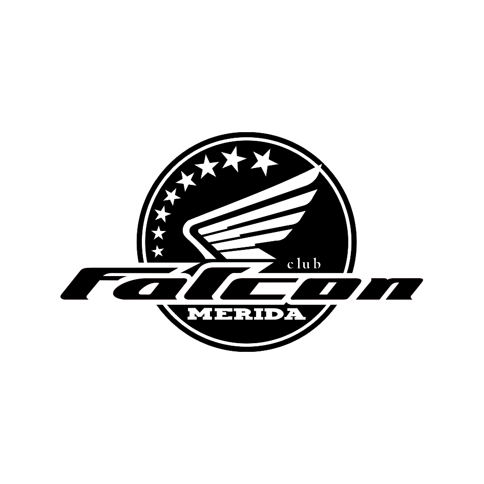 Falcon Merida Club - custom decal