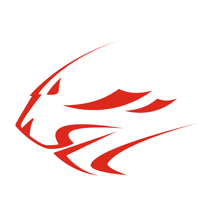 Lion Logo #2 - custom decal